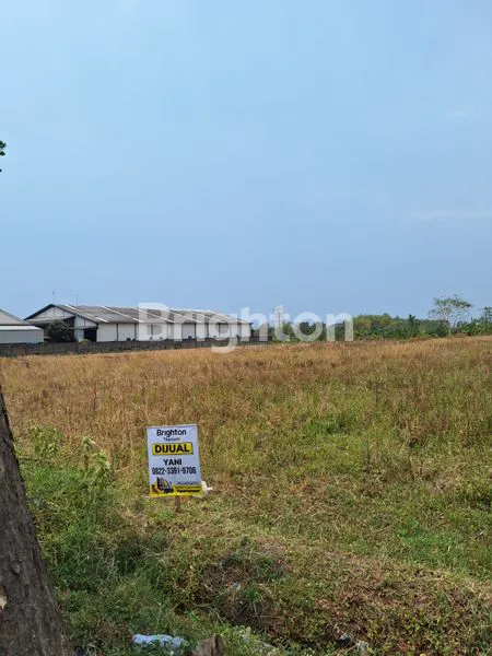 image TANAH INDUSTRI MURAH HARGA DI BAWAH PASARAN SEDIKIT URUG SIAP BANGUN COCOK UNTUK BANGUN GUDANG ATAU RUMAH DINAS DI JALAN RAYA DEKAT JL RAYA TRAWAS - MOJOSARI, MOJOKERTO (1)