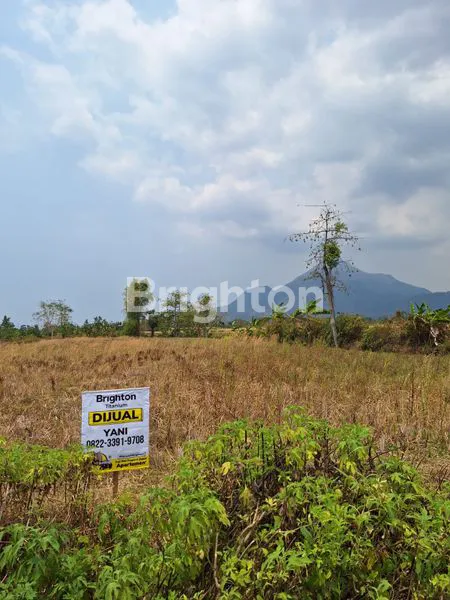 image TANAH INDUSTRI MURAH HARGA DI BAWAH PASARAN SEDIKIT URUG SIAP BANGUN COCOK UNTUK BANGUN GUDANG ATAU RUMAH DINAS DI JALAN RAYA DEKAT JL RAYA TRAWAS - MOJOSARI, MOJOKERTO (3)