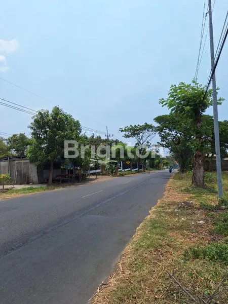 image TANAH INDUSTRI MURAH HARGA DI BAWAH PASARAN SEDIKIT URUG SIAP BANGUN COCOK UNTUK BANGUN GUDANG ATAU RUMAH DINAS DI JALAN RAYA DEKAT JL RAYA TRAWAS - MOJOSARI, MOJOKERTO (2)