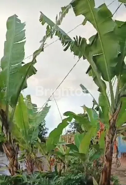 image RUMAH DI JUAL DI KABUPATEN BANDUNG BARAT (4)