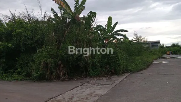 LAHAN KOSONG DI AREA MANGGAR