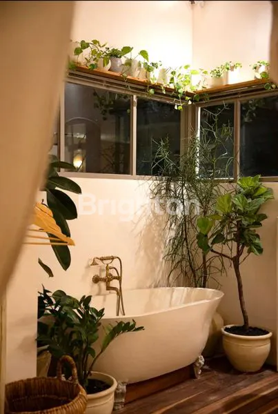 image ELEGANT AND MODERN CLASSIC 2-BEDROOM VILLA WITH POOL NEAR BERAWA BEACH (7)