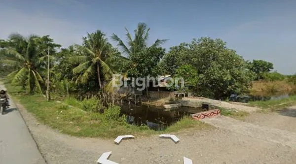 image TANAH PALUH MERBAU DESA TANJUNG REJO DELI SERDANG (1)