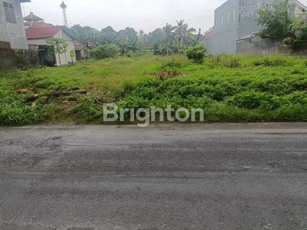 image TANAH LUAS DEKAT PINTU TOL (3)