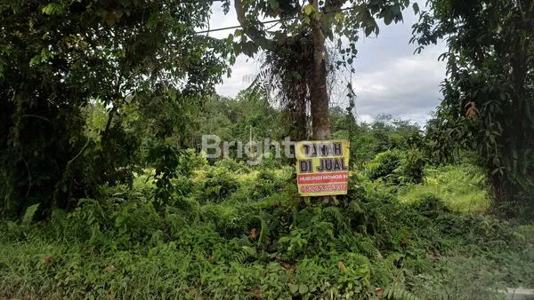 Gambar Property TANAH DI SUNGAI KAPIH