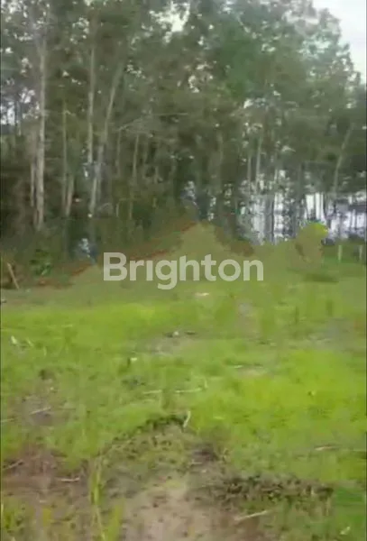 image TANAH KAVLING TIPE RUKO LT 60M (ADA 9 KAVLING) (1)