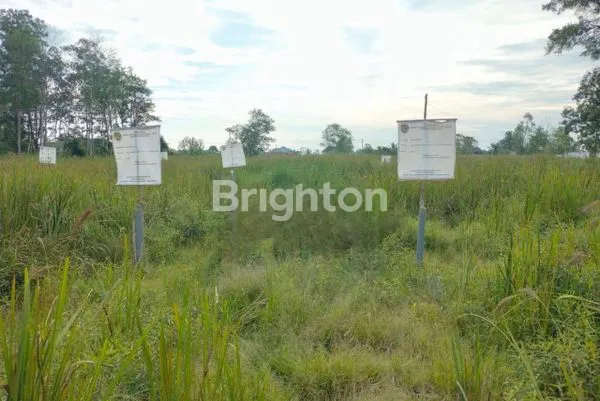 image TANAH KAVLING TIPE RUKO LT 60M (ADA 9 KAVLING) (2)