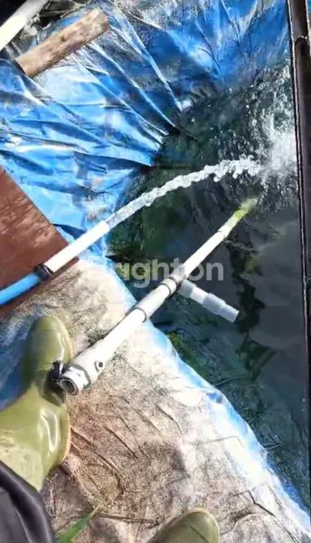 image KEBUN SAYURAN DAN KEBUN BUNGA DAERAH PARONGPONG  (6)