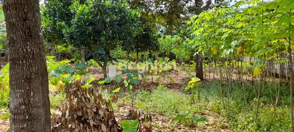 image TANAH JOYO KAMPUNG GONDORIYO SEMARANG (1)