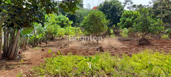 image TANAH JOYO KAMPUNG GONDORIYO SEMARANG (3)