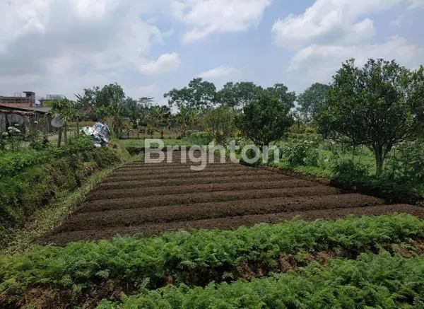 Gambar Property DEKAT HOTEL PURNAMA