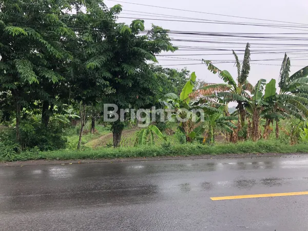 image "KESEMPATAN EMAS! TANAH STRATEGIS DI GRESIK SIAP UNTUK INVESTASI ANDA!" (1)