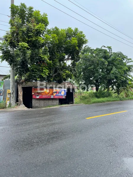 image "KESEMPATAN EMAS! TANAH STRATEGIS DI GRESIK SIAP UNTUK INVESTASI ANDA!" (3)