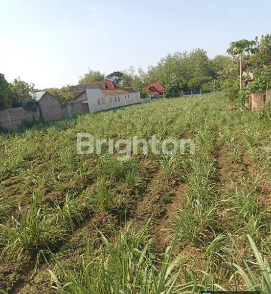 image DIJUAL TANAH (3)