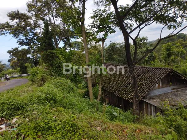 image TANAH JOMBANG (2)