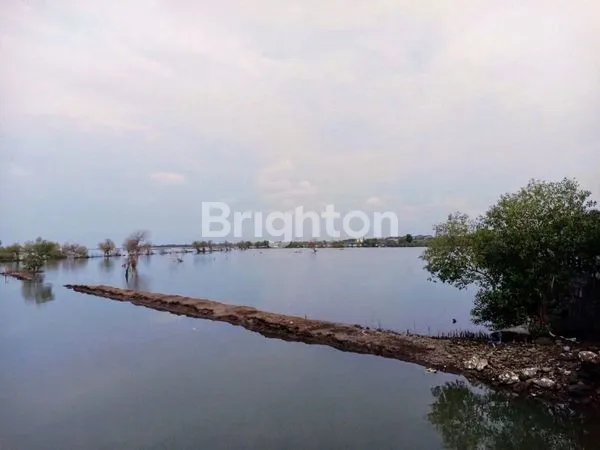 image TANAH INDUSTRI DI KENDAL (2)