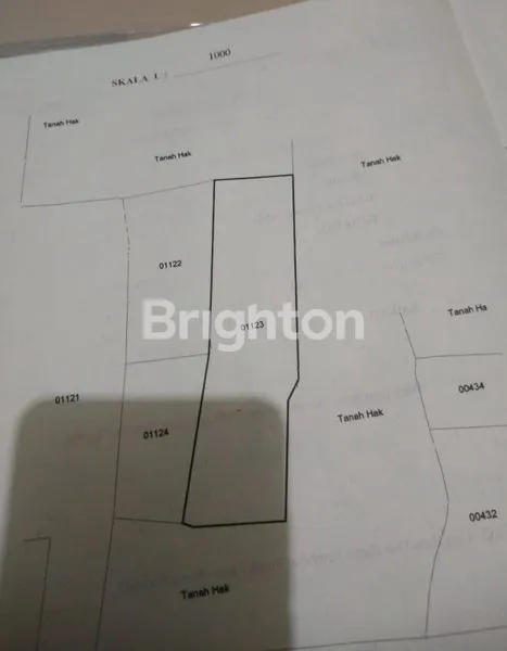 image SEBIDANG TANAH BEKAS SAWAH DI DESA BABATAN, BALONGPANGGANG GRESIK JAWATIMUR. 1 JAM DARI KOTA SURABAYA DAN 20 MENIT KE KOTA GRESIK. DEKAT JUGA KE LAMONGAN. (1)