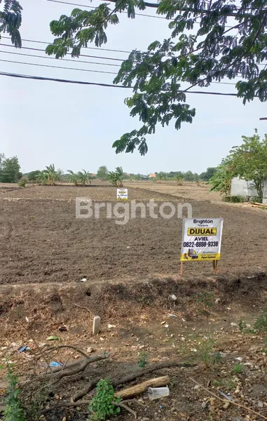 image TANAH INDUSTRI BENJENG BALONGPANGGANG, GRESIK (2)