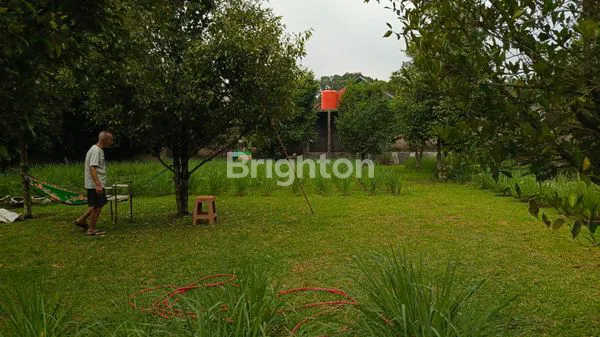 image DIJUAL SEGERA 1 RUMAH + HALAMAN BESAR + KEBUN PALA DAERAH CIKALONG WETAN (4)