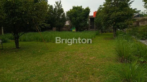 image DIJUAL SEGERA 1 RUMAH + HALAMAN BESAR + KEBUN PALA DAERAH CIKALONG WETAN (8)