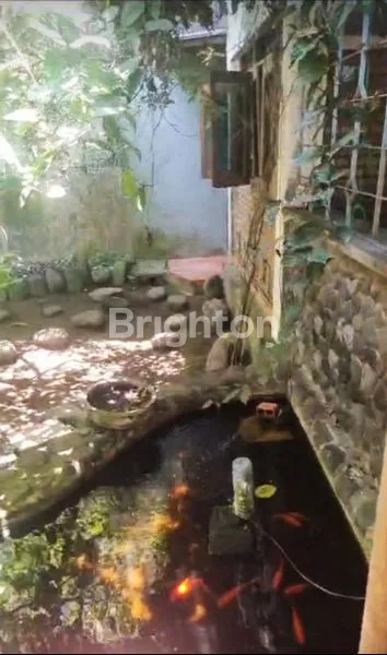 image TANAH STRATEGIS 3 ARE DI BY PASS NGURAH RAI SANUR BONUS BANGUNAN RUMAH TUA ASRI (5)