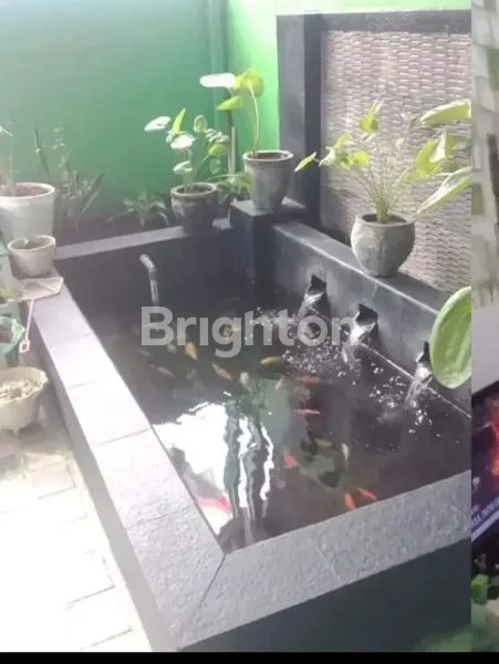 image RUMAH MURAH BAGUS LOKASI PASIR PUTIH (7)