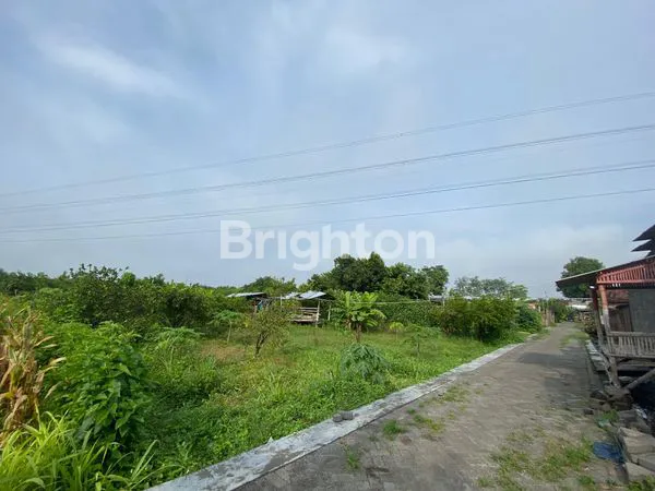 image TANAH LUAS HARGA TERJANGKAU DI NGASEM - DEKAT KANTOR KEJAKSAAN (3)