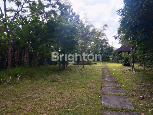 image DIJUAL TANAH DAN RUMAH TABANAN BALI (4)