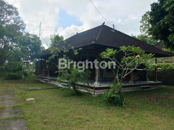 image DIJUAL TANAH DAN RUMAH TABANAN BALI (2)