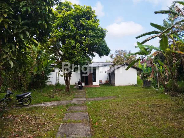image DIJUAL TANAH DAN RUMAH TABANAN BALI (3)