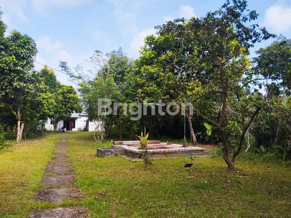 image DIJUAL TANAH DAN RUMAH TABANAN BALI (6)