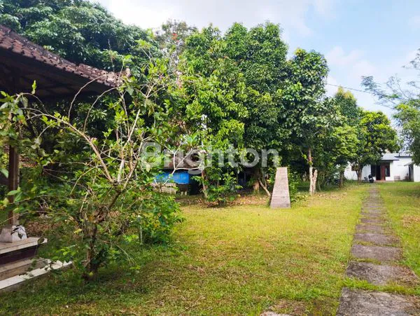 image DIJUAL TANAH DAN RUMAH TABANAN BALI (5)