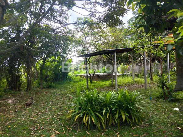 image DIJUAL TANAH DAN RUMAH TABANAN BALI (8)