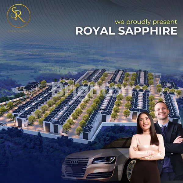 image ROYAL SHAFIRE MARELAN TYPE MARIGOLD (6)