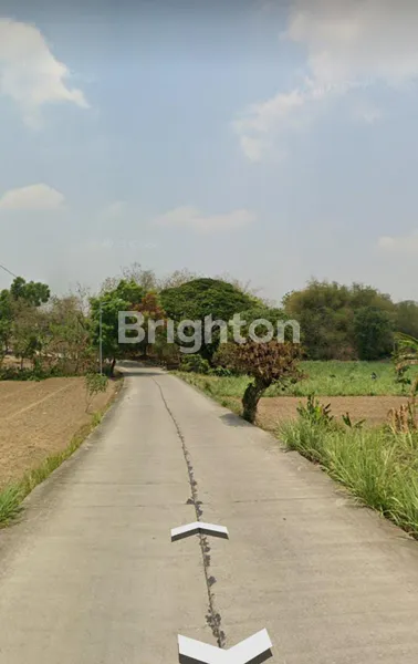 image TANAH ZONE INDUSTRI DI DAWAR BLANDONG MOJOKERTO  (4)