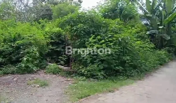 Gambar Property TANAH UNGASAN