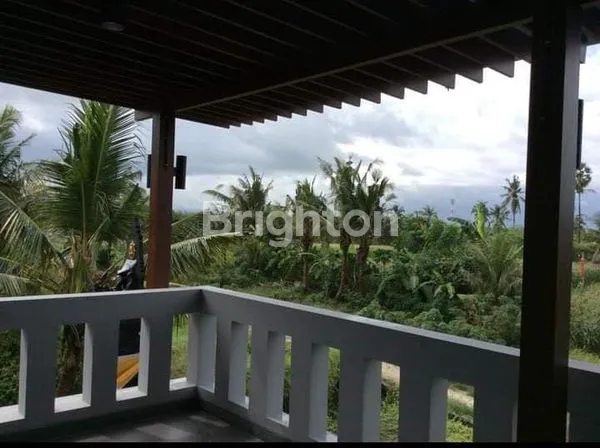 image DISEWAKAN VILLA DI DEKAT PANTAI SABA - GIANYAR (6)