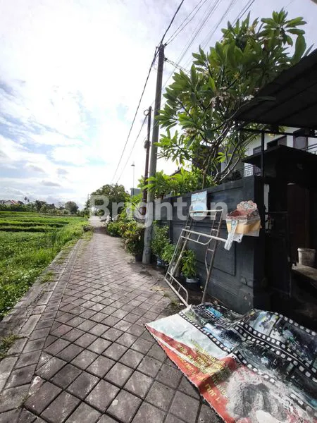 image VILLA 2 LANTAI VIEW SAWAH TENANG DI CANGGU YANG PADAT (6)