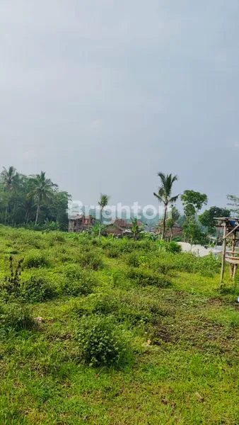 image TANAH STRATEGIS DI PINGGIR JALAN TEMANGGUNG MAGELANG (2)
