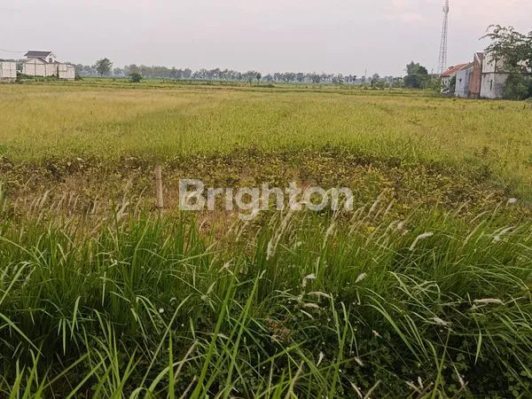 image TANAH ,SIDOARJO BARAT (1)