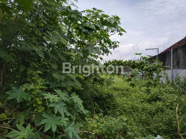 image TANAH KAVLING AREA STRATEGIS, AREA AMBARUKMO PLAZA, JEC JOGJA EXPO CENTER, KAKOMBAR KOPI KAMPUNG AMBARUKMO, EASTPARC HOTEL, KAMPUS: UIN, TAMAN SISWA, UTY, UAD, ATMAJAYA (7)