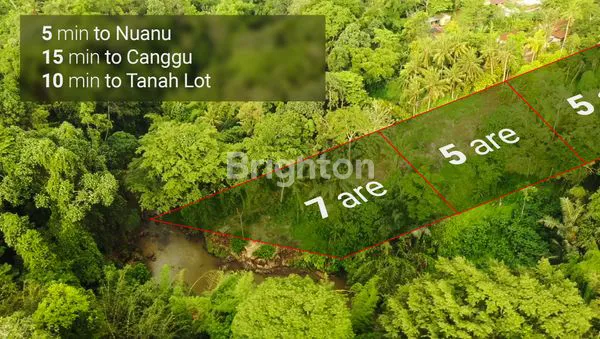 image LAND 7 ARE FOR LEASE NEAR NUANU (TANAH DI TABANAN DEKAT PANTAI) (3)