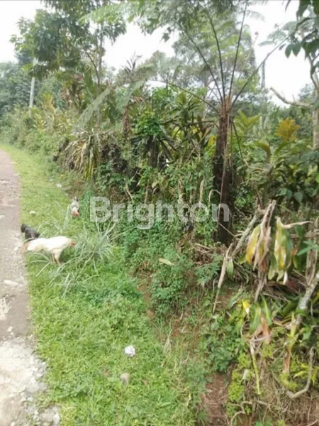 image TANAH KAVLING 593M UNTUK VILA TAMAN SARI BOGOR (3)