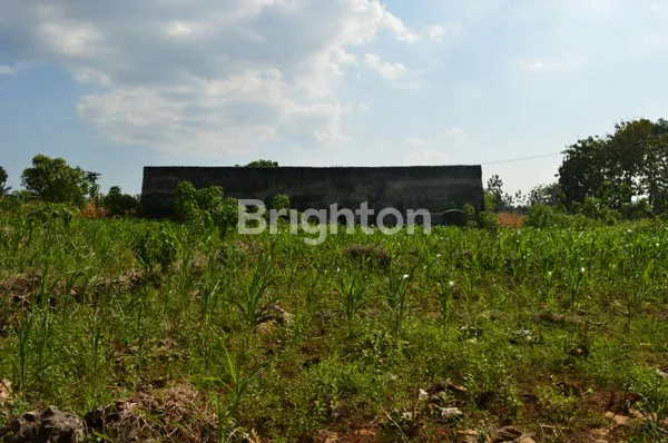 image DIJUAL RUMAH SARANG BURUNG WALET (Y) (1)