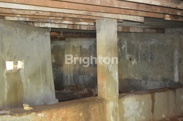 image DIJUAL RUMAH SARANG BURUNG WALET (Y) (4)