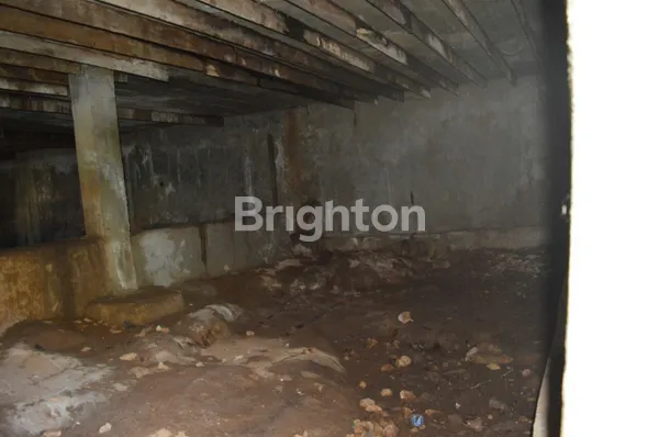 image DIJUAL RUMAH SARANG BURUNG WALET (Y) (5)