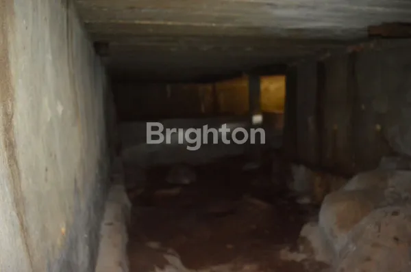 image DIJUAL RUMAH SARANG BURUNG WALET (Y) (6)