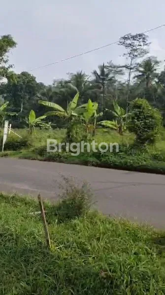 TANAH COCOK UNTUK INVESTASI, DIBUAT GUDANG,SPBU, ATAU DIKAVLINGKAN  DI DESA ROWO TEMANGGUNG
