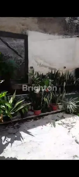 image RUMAH ISTIMEWA 2 LANTAI DI TEMANGGUNG (7)