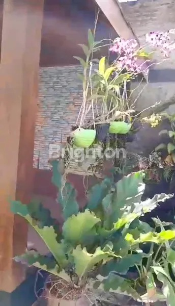 image RUMAH ISTIMEWA 2 LANTAI DI TEMANGGUNG (3)